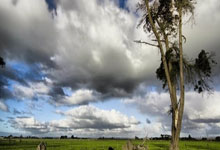 探索天涯股票分析论坛，老鸟们的经验宝库