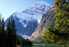 探索天涯论坛情感社区——那些温暖的瞬间